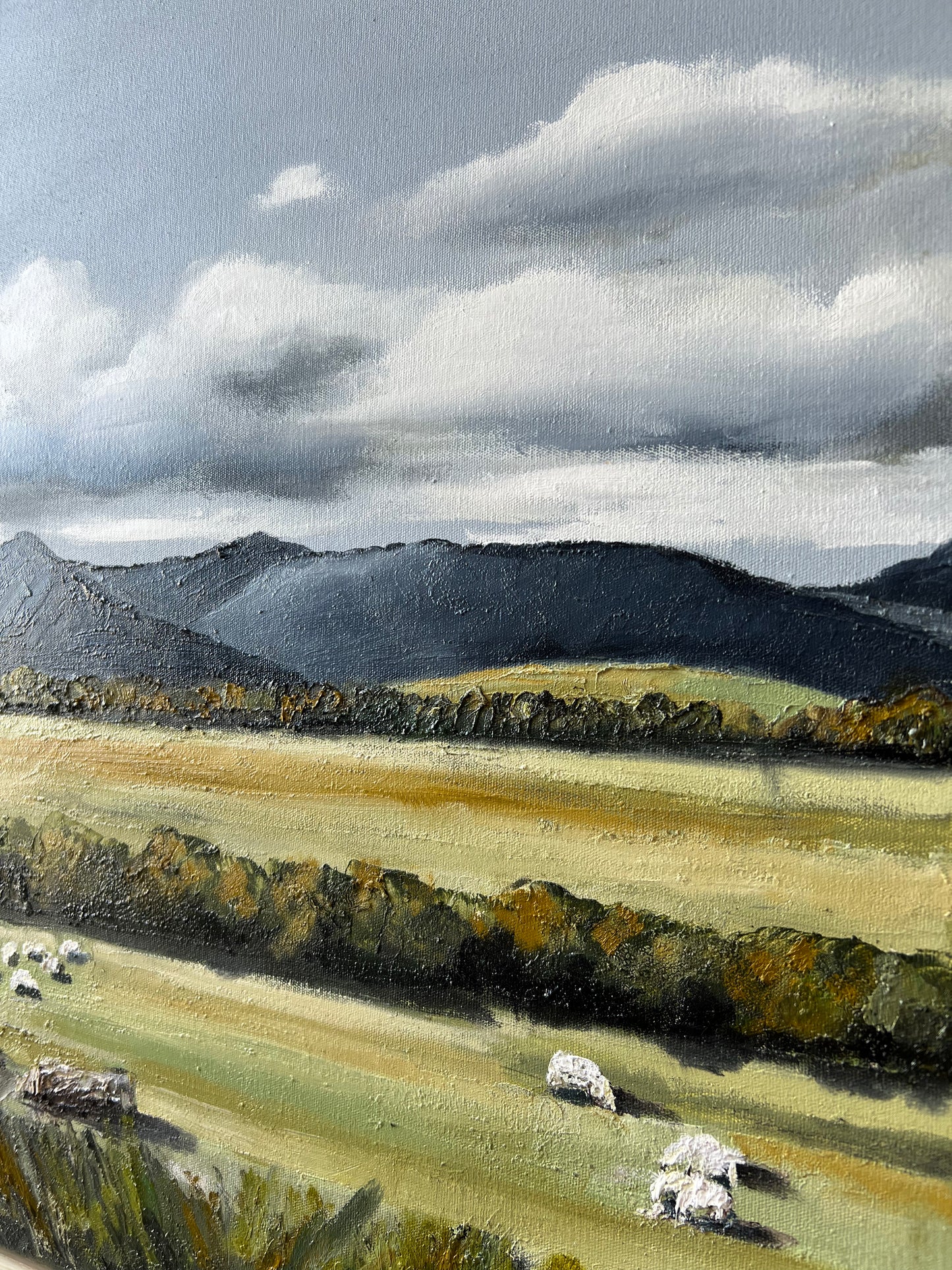 Gruyere - 43cm x 53cm