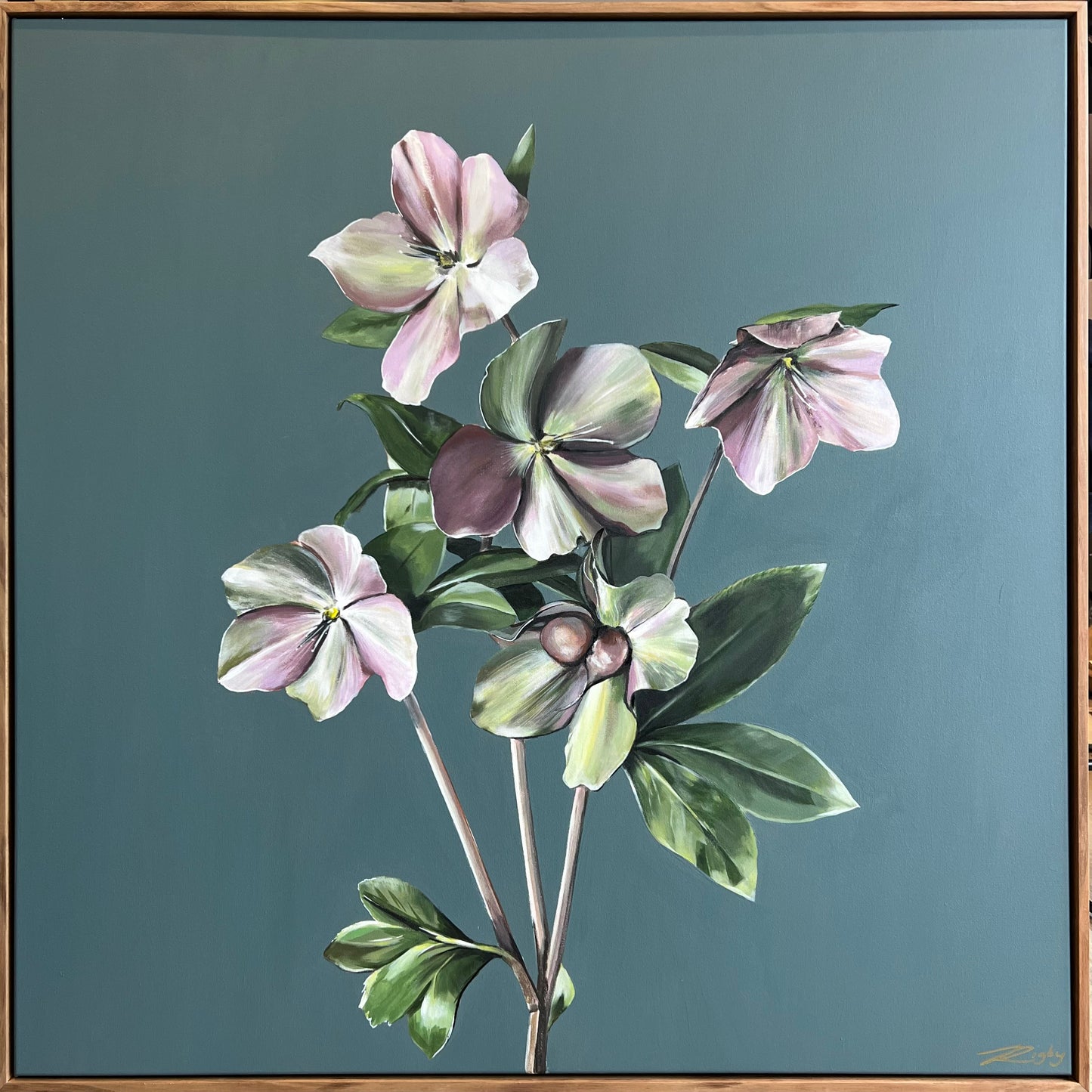 ELLEBORUM CAERULEUM - Open Edition Print on Canvas