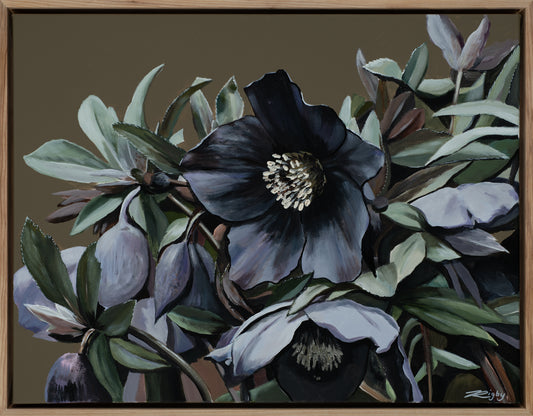 ELLEBORUM PURPURA  - Open Edition Print on Canvas