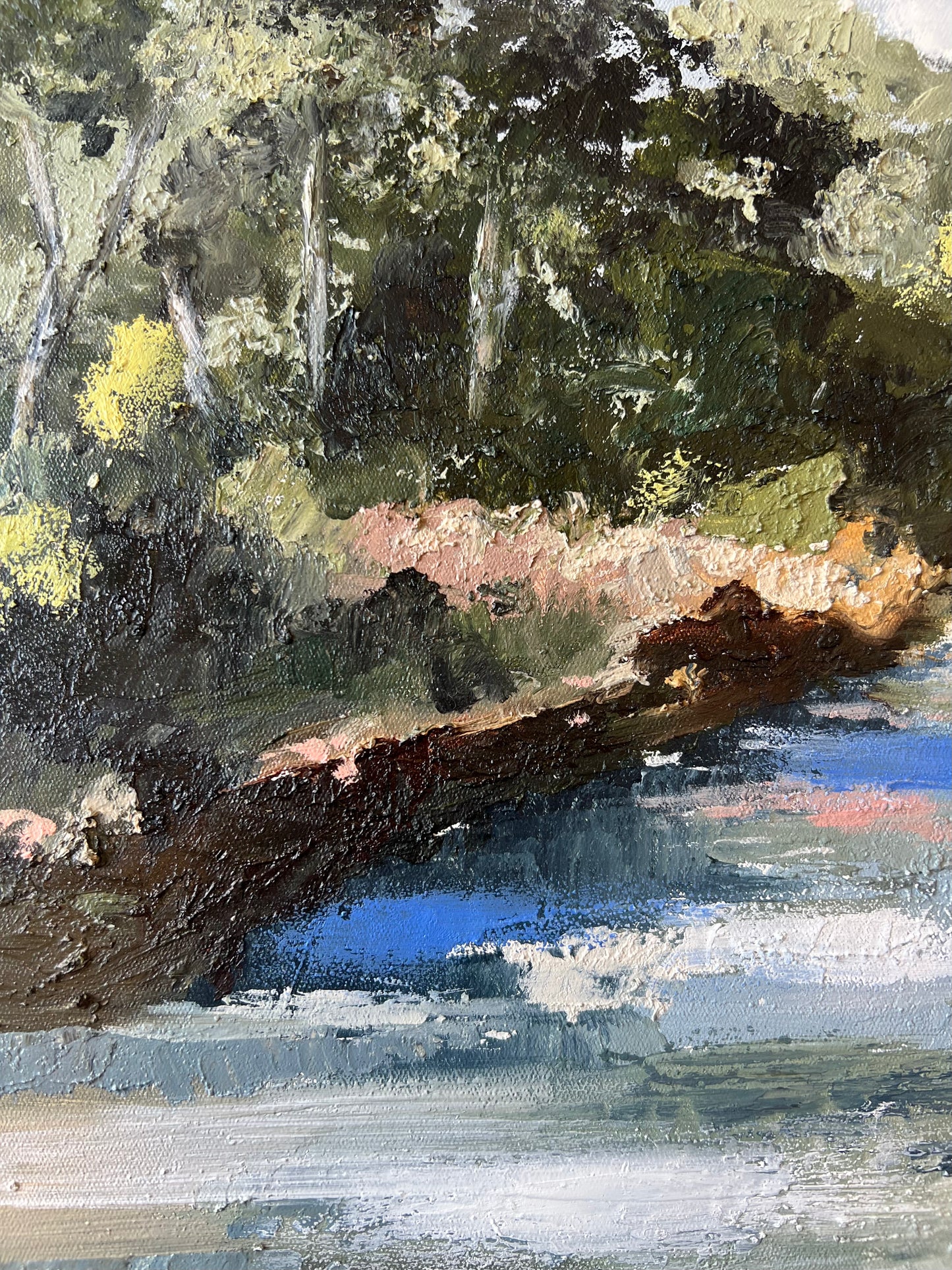 Warrandyte on the River - 53cm x 53cm