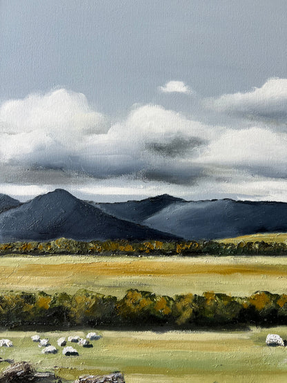 Gruyere - 43cm x 53cm
