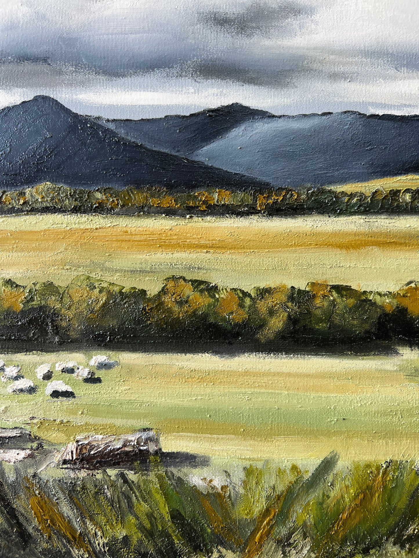 Gruyere - 43cm x 53cm