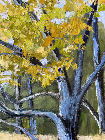 Days on the Murray - 125cm x 64cm