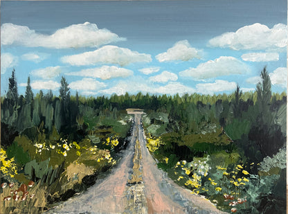 Taking a Drive through the Pine Forest