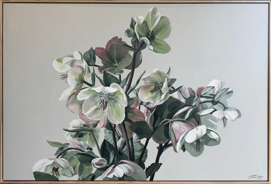 ELLEBORUM NIVIUS 155cm x 105cm