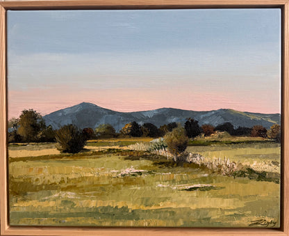 Hamilton Road 54cm x 44cm