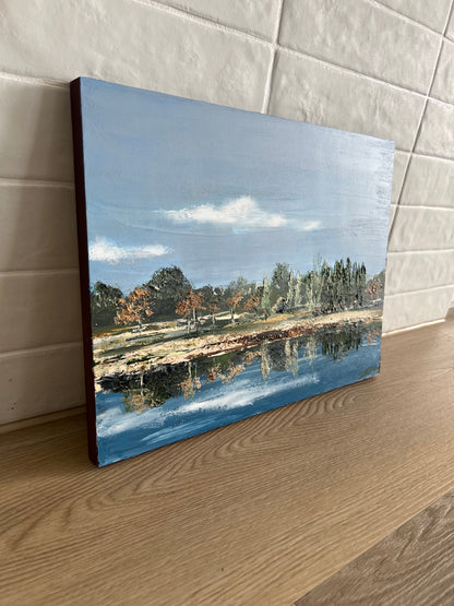 LAVENDER FARM 40cm x 30cm