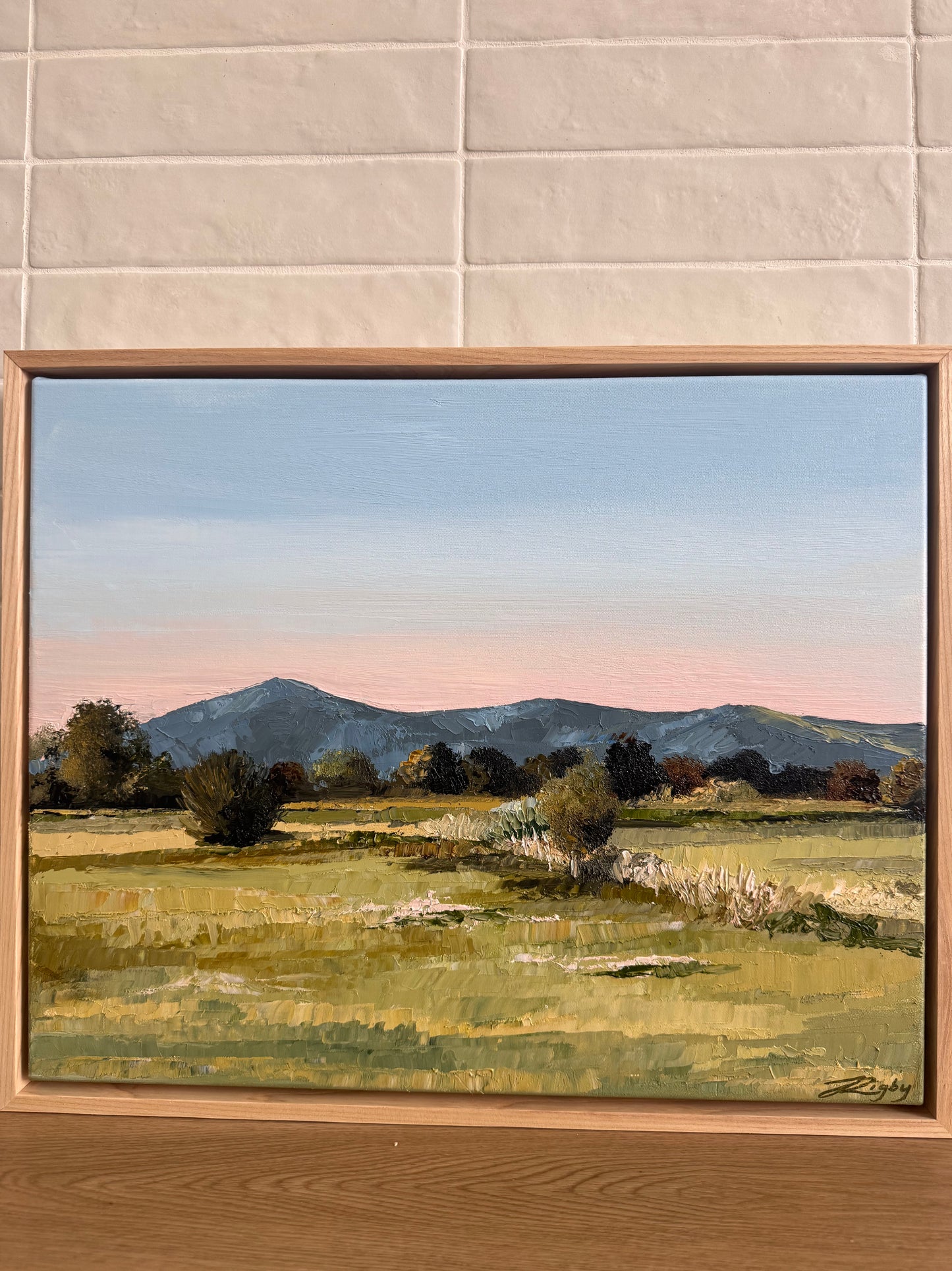 Hamilton Road 54cm x 44cm