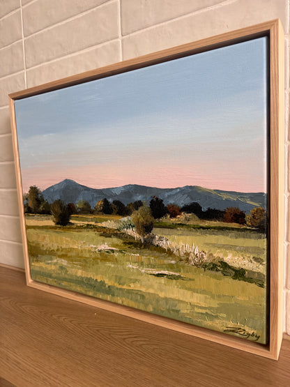 Hamilton Road 54cm x 44cm